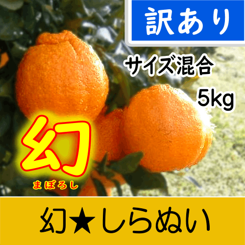 【南三重産】幻★しらぬい_訳ありサイズ混合_5kg箱入～糖度14度以上！最高級の味わい～