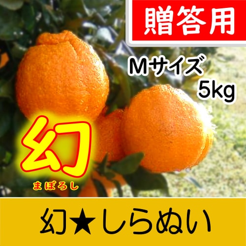 【南三重産】【幻】しらぬい_贈答用Mサイズ_5kg箱入～糖度14度以上！最高級の味わい～