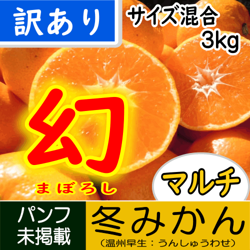 【南三重産】幻★冬みかん_訳あり_3kg箱入★糖度13度以上!!