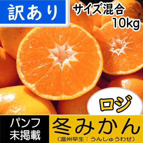 【南三重産】ロジ★冬みかん_訳あり_10kg箱入