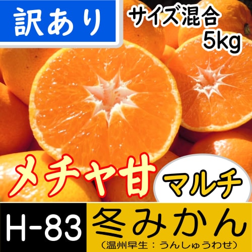 【南三重産】メチャ甘マルチ★冬みかん_訳あり_5kg箱入[H-83]