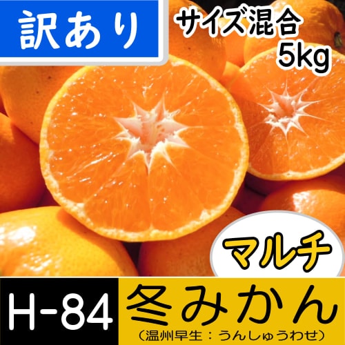 【南三重産】マルチ★冬みかん_訳あり_5kg箱入[H-84]