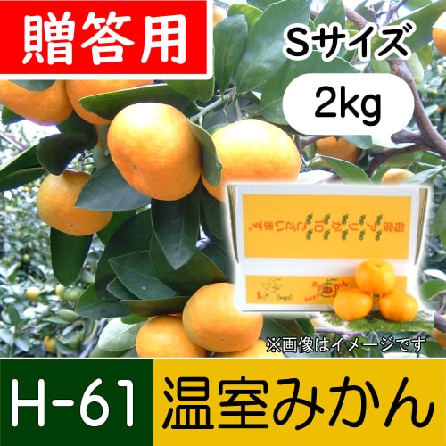 【南三重産】温室みかん_贈答用Sサイズ_2kg箱入～夏の贈り物に☆～(H-61)