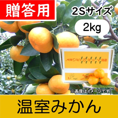 【南三重産】温室みかん_贈答用2Sサイズ_2kg箱入(H-81)～夏の贈り物に☆～