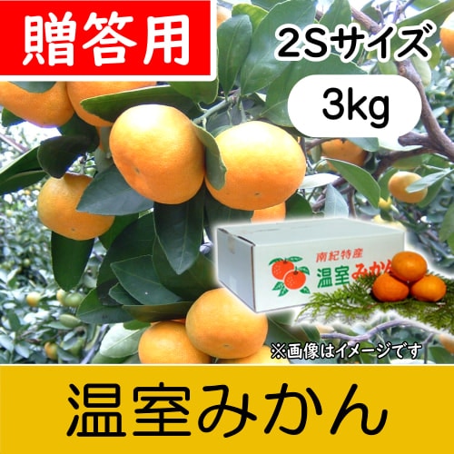 【南三重産】温室みかん_贈答用2Sサイズ_3kg箱入(H-85)～夏の贈り物に～