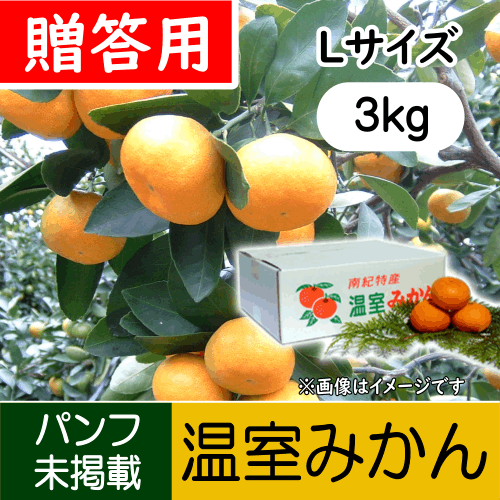 【南三重産】温室みかん_贈答用Lサイズ_3kg箱入～夏の贈り物に～