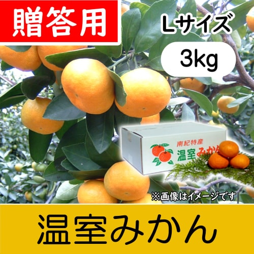 【南三重産】温室みかん_贈答用Lサイズ_3kg箱入～夏の贈り物に～