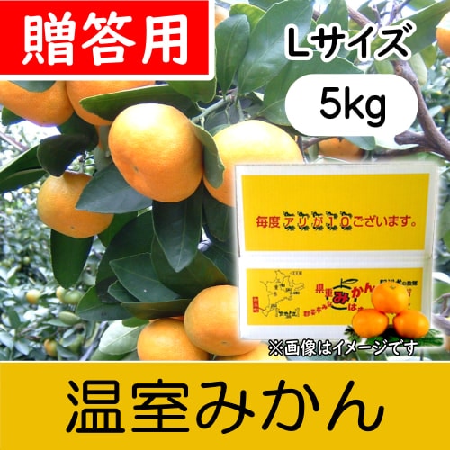 【南三重産】温室みかん_贈答用Lサイズ_5kg箱入～夏の贈り物☆～