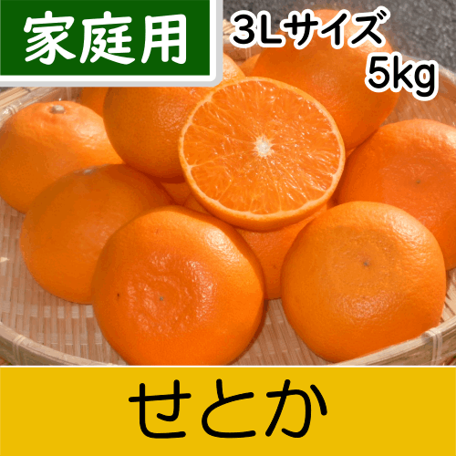 【南三重産】せとか_家庭用3Lサイズ_5kg入～独特の甘い香りと実がずっしり～