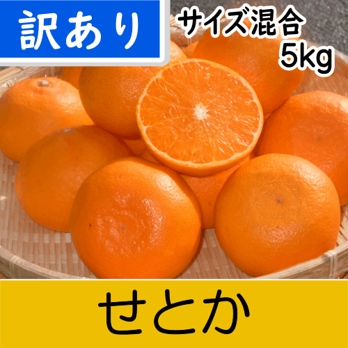 【南三重産】せとか_訳あり_サイズ混合5kg入～独特の甘い香りと実がずっしり！～