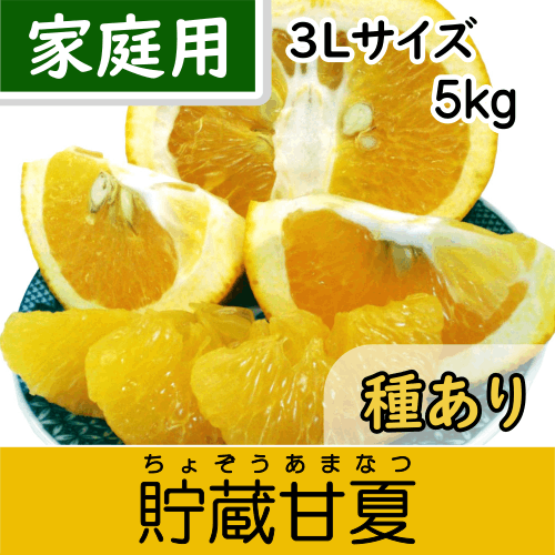 4/15以降発送【南三重産】貯蔵甘夏みかん_家庭用3Lサイズ_5kg箱入～爽やか甘酸っぱ～いのが特徴！～