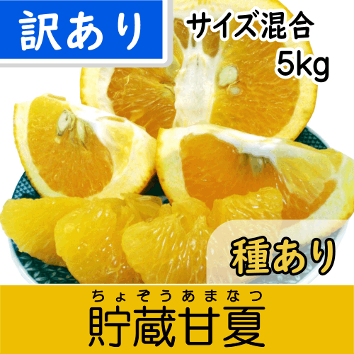 【南三重産】貯蔵甘夏みかん_訳あり品サイズ混合_5kg箱入～爽やか甘酸っぱ～いのが特徴！～