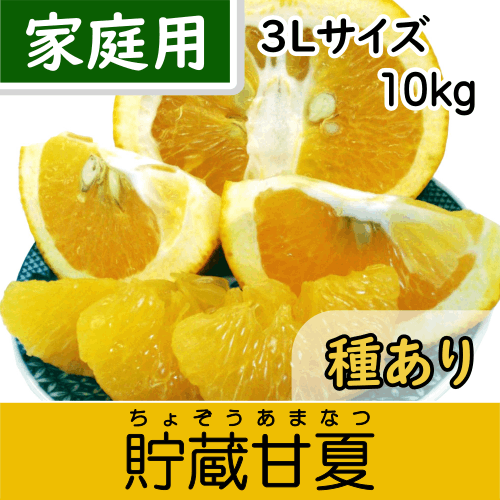 4/15以降発送【南三重産】貯蔵甘夏みかん_家庭用3Lサイズ_10kg箱入～爽やか甘酸っぱ～いのが特徴！～