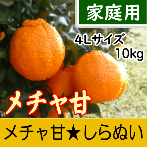 【南三重産】メチャ甘★しらぬい_家庭用4Lサイズ_10kg箱入～厳選された糖度12.5度以上！～