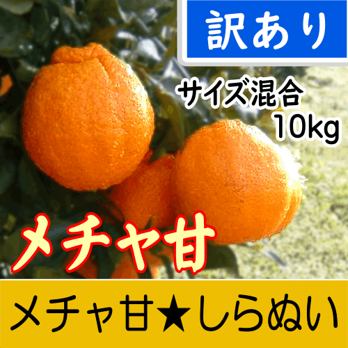 【南三重産】メチャ甘★しらぬい_訳あり_混合サイズ_10kg箱入～厳選された糖度12.5度以上！～