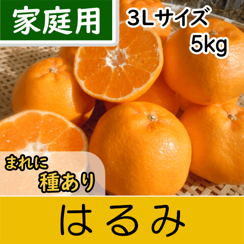 【南三重産】はるみ_家庭用3Lサイズ_5kg箱入～シラヌイの妹～