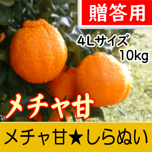 【南三重産】メチャ甘★しらぬい_贈答用4Lサイズ_10kg箱入～厳選された糖度12.5度以上！～
