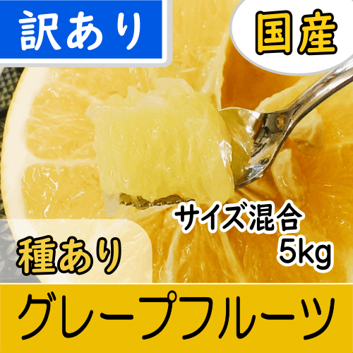 【南三重産】国産グレープフルーツ_訳あり_混合サイズ_5kg箱入★とても貴重な国産です！