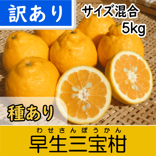 【南三重産】早生三宝柑_訳あり_サイズ混合_5kg入～紀州生まれの縁起みかん～