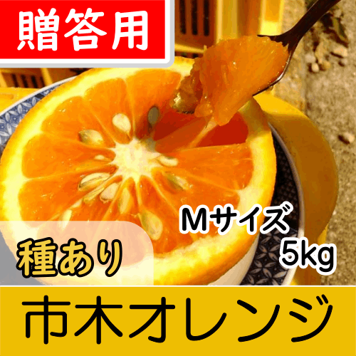 【南三重産】市木オレンジ_贈答用Mサイズ_5kg～「美(うま)し国みえの伝統果実」に認定！～