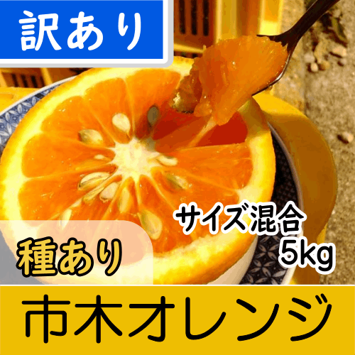 【南三重産】市木オレンジ_訳あり_サイズ混合_5kg～「美(うま)し国みえの伝統果実」に認定！～