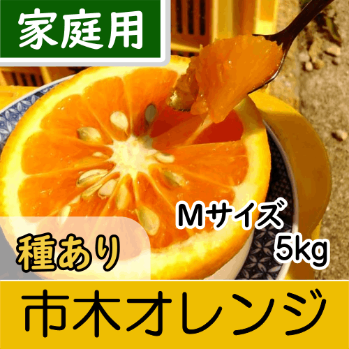 【南三重産】市木オレンジ_家庭用Mサイズ_5kg～「美(うま)し国みえの伝統果実」に認定！～