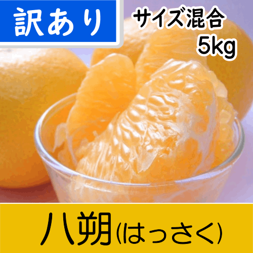 【南三重産】八朔_訳あり_サイズ混合_5kg～パチパチッとした食感が人気！～