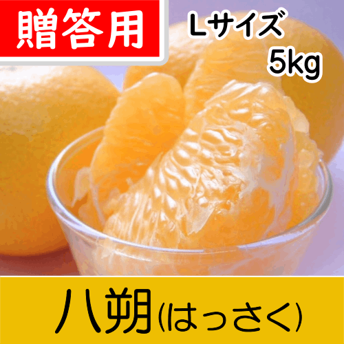 【南三重産】八朔_贈答用Lサイズ(中玉)_5kg～パチパチッとした食感が人気！～