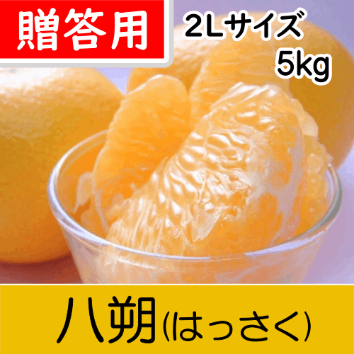 【南三重産】八朔_贈答用2Lサイズ(大玉)_5kg～パチパチッとした食感が人気！～