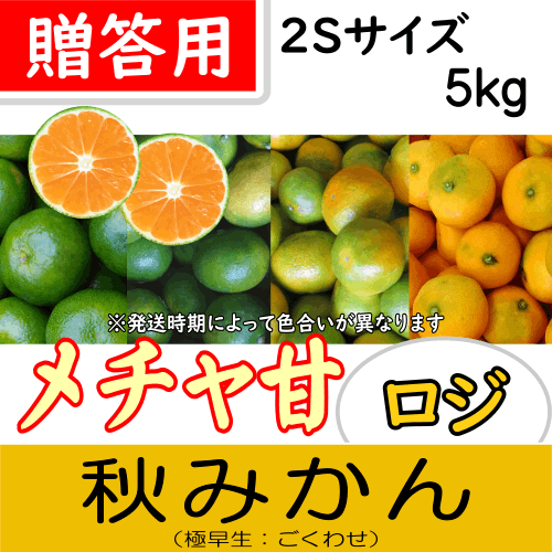 【南三重産】メチャ甘ロジ★秋みかん_贈答用2Sサイズ_5kg箱入