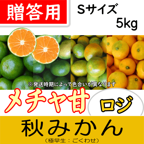 【南三重産】メチャ甘ロジ★秋みかん_贈答用Sサイズ5kg箱入