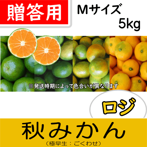 【南三重産】ロジ秋みかん_贈答用Mサイズ_5kg箱入～秋の定番！～