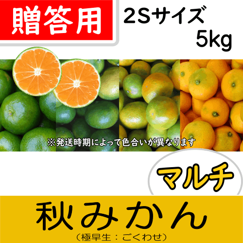 【南三重産】マルチ秋みかん_贈答用2Sサイズ_5kg箱入