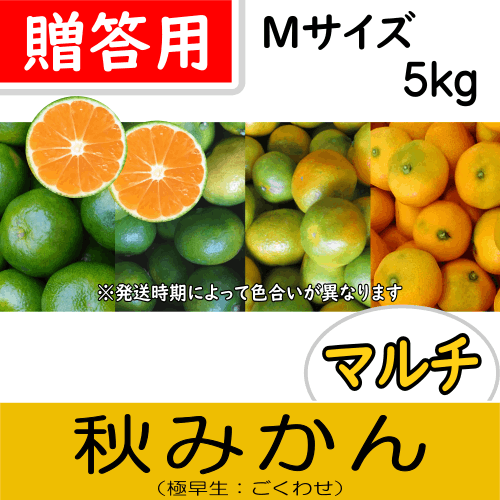 【南三重産】マルチ秋みかん_贈答用Mサイズ_5kg箱入