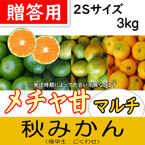 【南三重産】メチャ甘マルチ★秋みかん_贈答用2Sサイズ_3kg箱入～一度食べたらとまらない！～