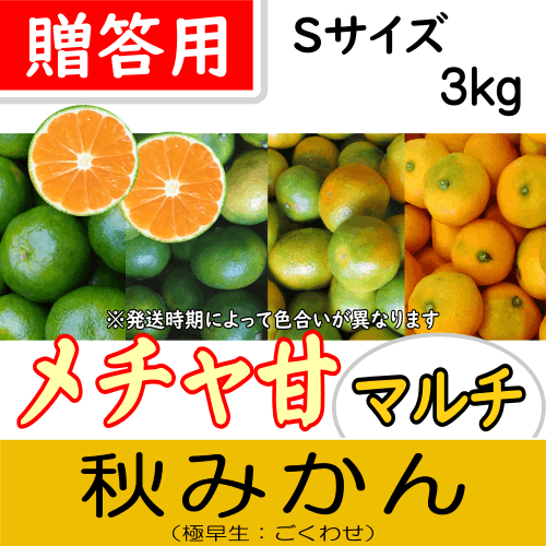 【南三重産】メチャ甘マルチ★秋みかん_贈答用Sサイズ_3kg箱入～一度食べたらとまらない！～