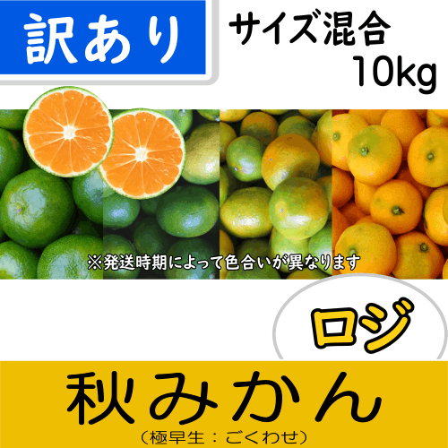 【南三重産】ロジ秋みかん_訳あり品_サイズ混合_10kg箱入