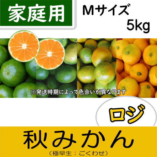 【南三重産】ロジ秋みかん_家庭用Mサイズ_5kg箱入～秋の定番！～