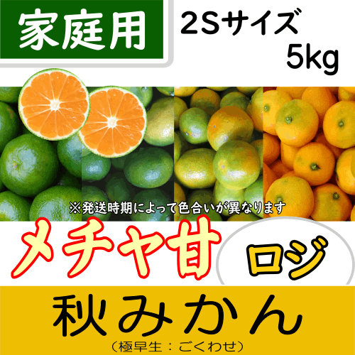 【南三重産】メチャ甘ロジ★秋みかん_家庭用2Sサイズ_5kg箱入
