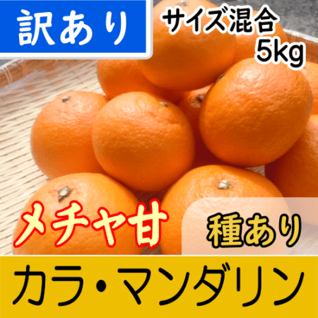 【南三重産】メチャ甘★カラ・マンダリン_訳あり品サイズ混合_5kg～果汁たっぷり！春のみかん～
