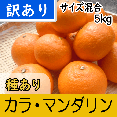 【南三重産】カラ・マンダリン_訳あり_サイズ混合5kg～濃厚な美味しさ！春のみかん～