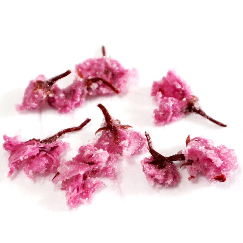 ��¼��Ź�� ���β� ���Ҥ� �ֺ����ҡ׼��ڤ� 70g��2 �����Ť��Ҥ����ޤ������ĸ��Թ����Ż���Ȭ�ź� �ػ��ʤ��󤶤�ˤβ֡פ� �ٻλ�����ή��˭�٤ʾ��Ťο�ǡ����ĸ��û����ߴ�����Ĥ���Ȥ��ˤǤ�������߿ݡפ�ŷ�����ǡ�����ź��ʪ��Ȥ鷺�� �Ҥ����ߤޤ� �ڽ�񻺡�