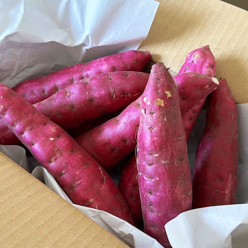 ������ ��Τ�������� �ʤ�ȶ���פ����ѡ���·���ʡ�1.5kg������ƣ��