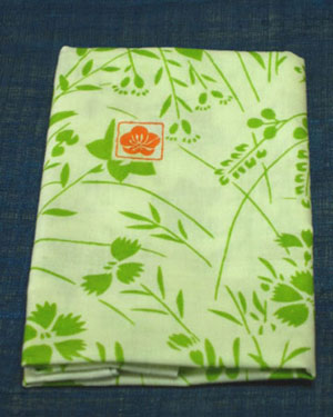 ��̤��� �ڷ��������ۤ�����ΤƤ̤��� �ֿ᤭�� �������ˡν����Ϣ�������˼