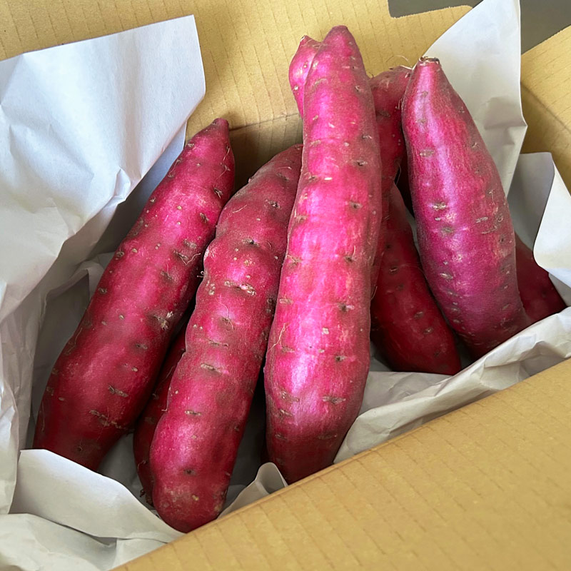 ������ ��Τ�������� �ʤ�ȶ����A�ʡ�L��������1.5kg������ƣ��