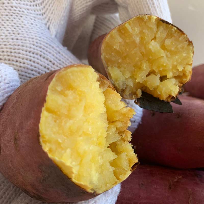 ������ ��Τ�������� �ʤ�ȶ����A�ʡ�L��������1.5kg������ƣ��