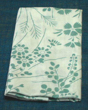 ��̤��� �ڷ��������ۤ�����ΤƤ̤��� �ֿ᤭�� �������ˡν����Ϣ�������˼