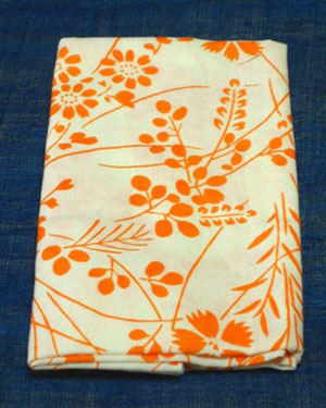 ��̤��� �ڷ��������ۤ�����ΤƤ̤��� �ֿ᤭�� �������ˡν����Ϣ�������˼