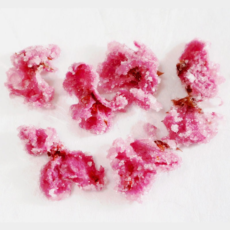 ¼Ź β Ҥ ֺҡ׼ʤ 500g ŤҤޤĸԹŻȬź ػʤ󤶤ˤβ֡פ ٻλή˭٤ʾŤοǡĸûߴĤȤˤǤ߿ݡפŷǡźʪȤ鷺 Ҥߤޤ ڽ񻺡