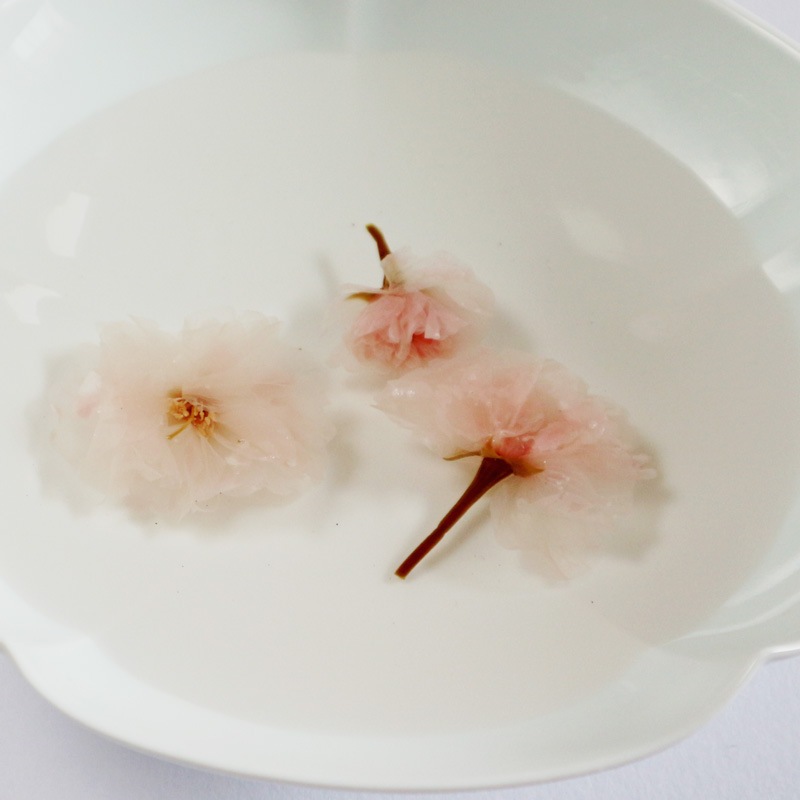 ¼Ź β Ҥ ֺҡ׼ʤ 500g ŤҤޤĸԹŻȬź ػʤ󤶤ˤβ֡פ ٻλή˭٤ʾŤοǡĸûߴĤȤˤǤ߿ݡפŷǡźʪȤ鷺 Ҥߤޤ ڽ񻺡